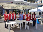 aimod-plateia-2